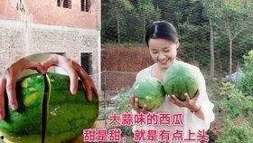 都挺好全集在线播放西瓜,西瓜视频独家呈现，全集免费观看